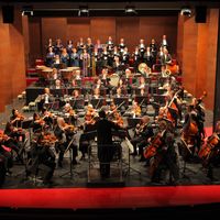 Bild vergrößern: Das Orchester des Schleswig-Holsteinischen Landestheaters