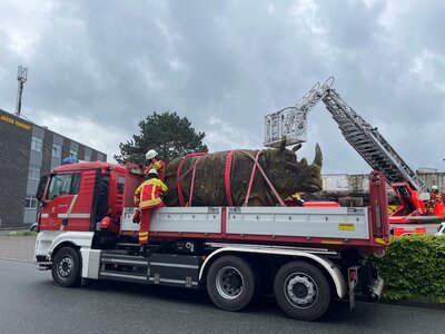 Nashorn beim Abtransport vom Hafen