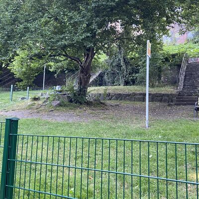 Bild vergr&ouml;&szlig;ern: Rummmelgang  Hundefreilauf2