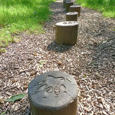 Bild vergr&ouml;&szlig;ern: Volkspark Gr&uuml;nfl&auml;chen 2
