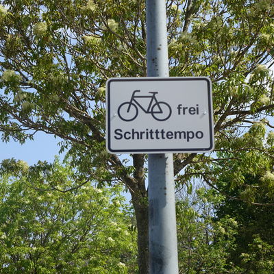 Bild vergrößern: In der Fußgängerzone am Hafen ist Radfahren im Schritttempo erlaubt.